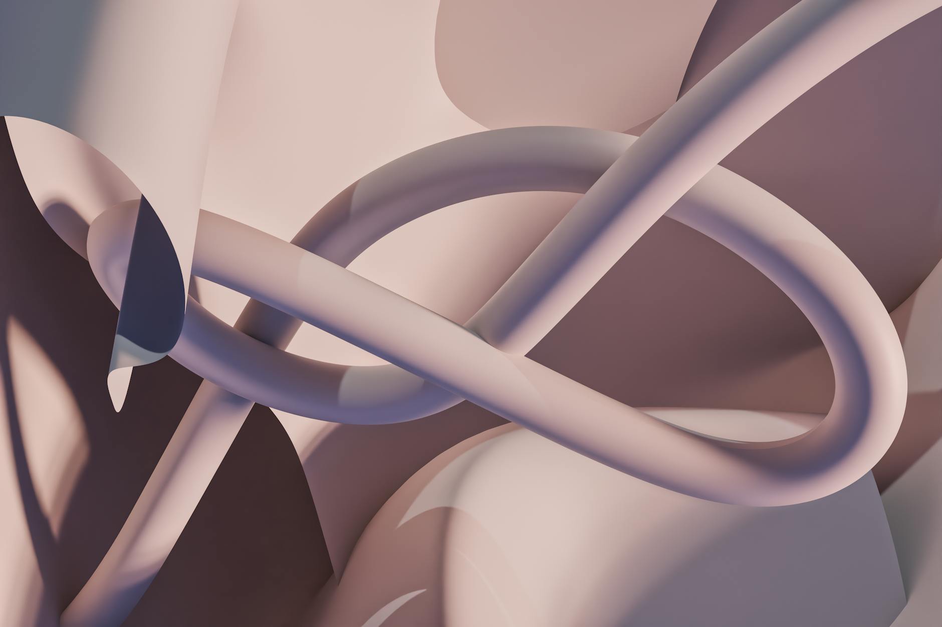 The Timeline: A Six-Month Transformation